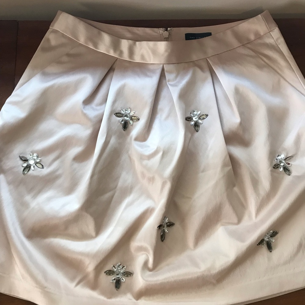 Limited Silk Pink Skirt